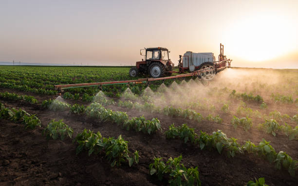 Best Wildlife Control Services  in Fresno, TX