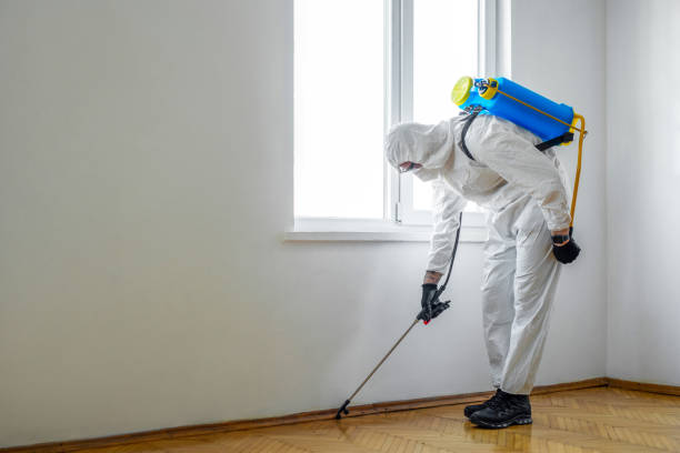 Best Residential Pest Control  in Fresno, TX