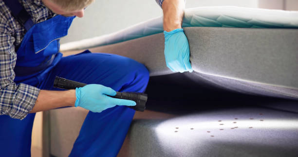 Best Affordable Pest Control Services  in Fresno, TX