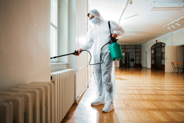 Best Flea Control Services  in Fresno, TX
