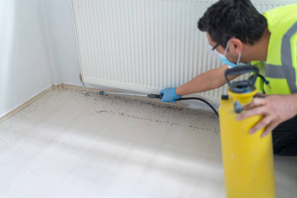 Best Pest Inspection Near Me  in Fresno, TX